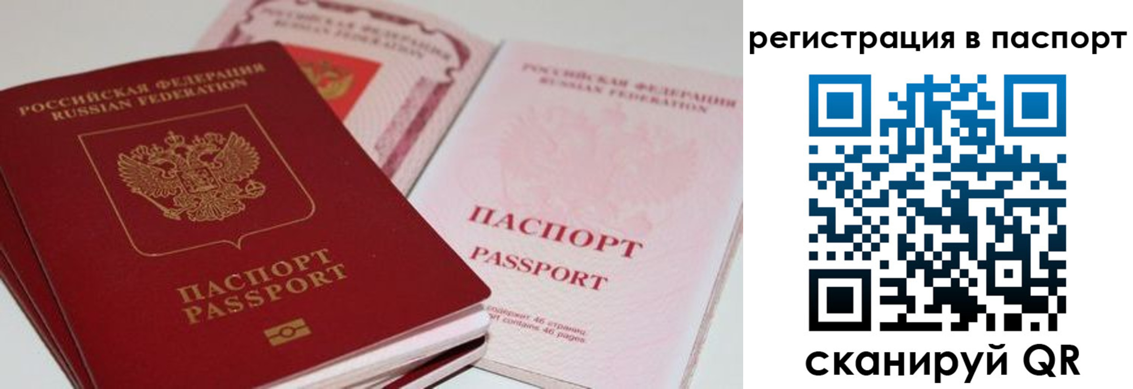 найти адрес прописки в Камчатской области